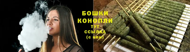 Бошки марихуана THC 21%  Котово 